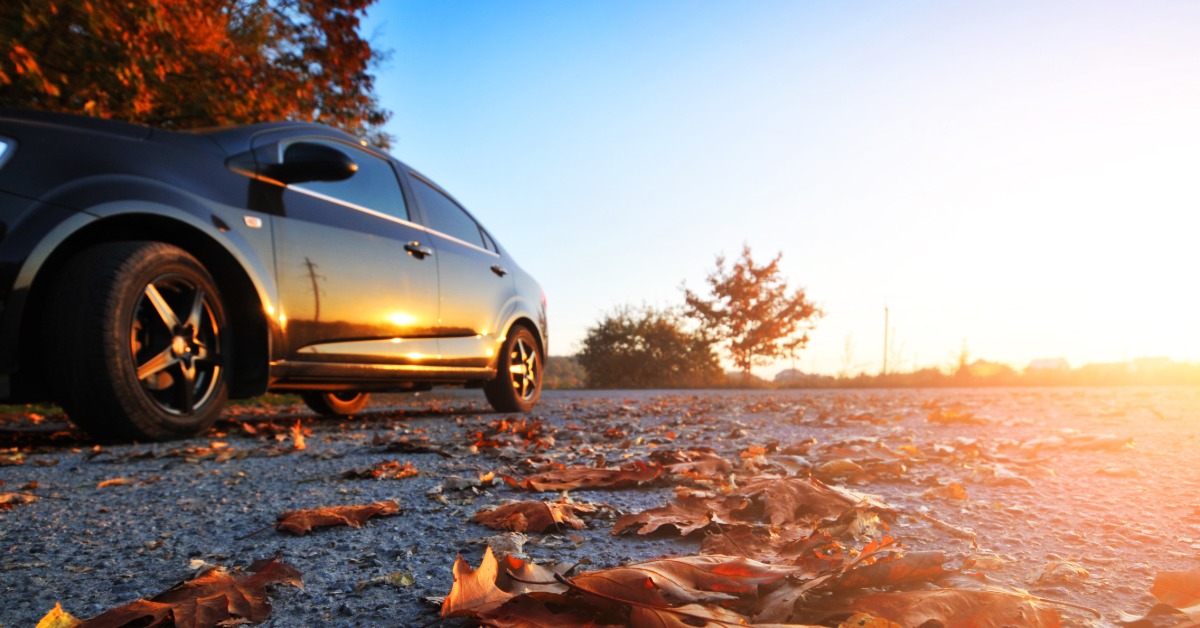 A ground-level view of fallen red leaves on the asphalt. A black sedan is parked below a tree in the distance.